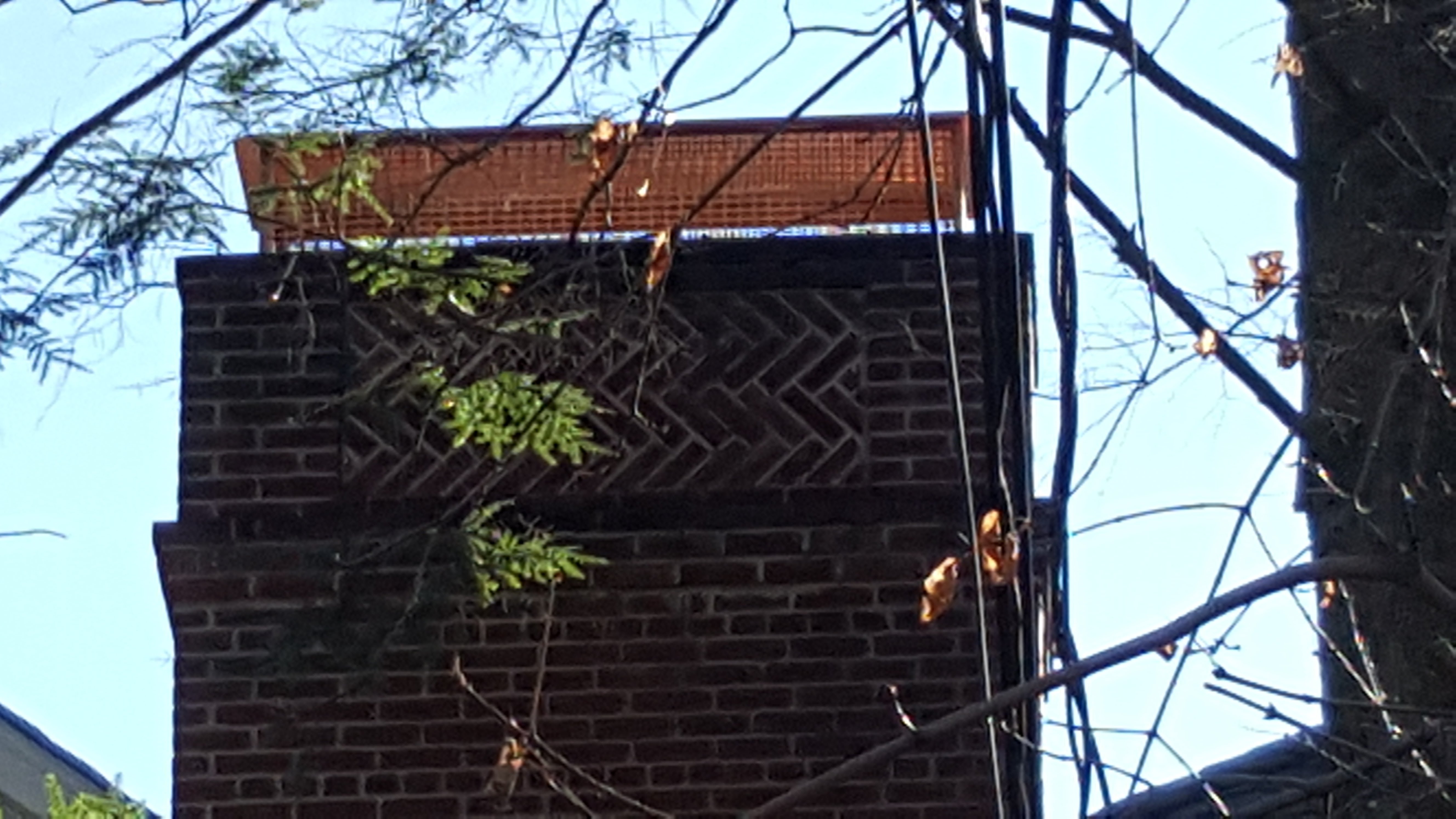 Animal-proof chimney cap protecting home in Jericho, New York